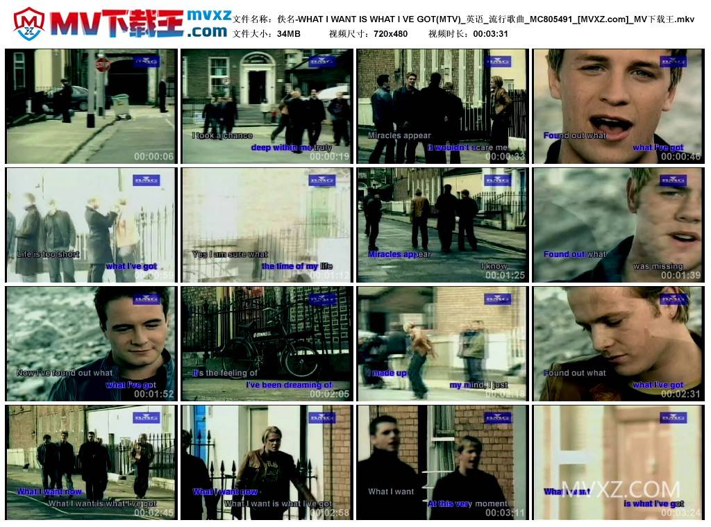 佚名-WHAT I WANT IS WHAT I VE GOT(MTV)_英语_流行歌曲_MC805491